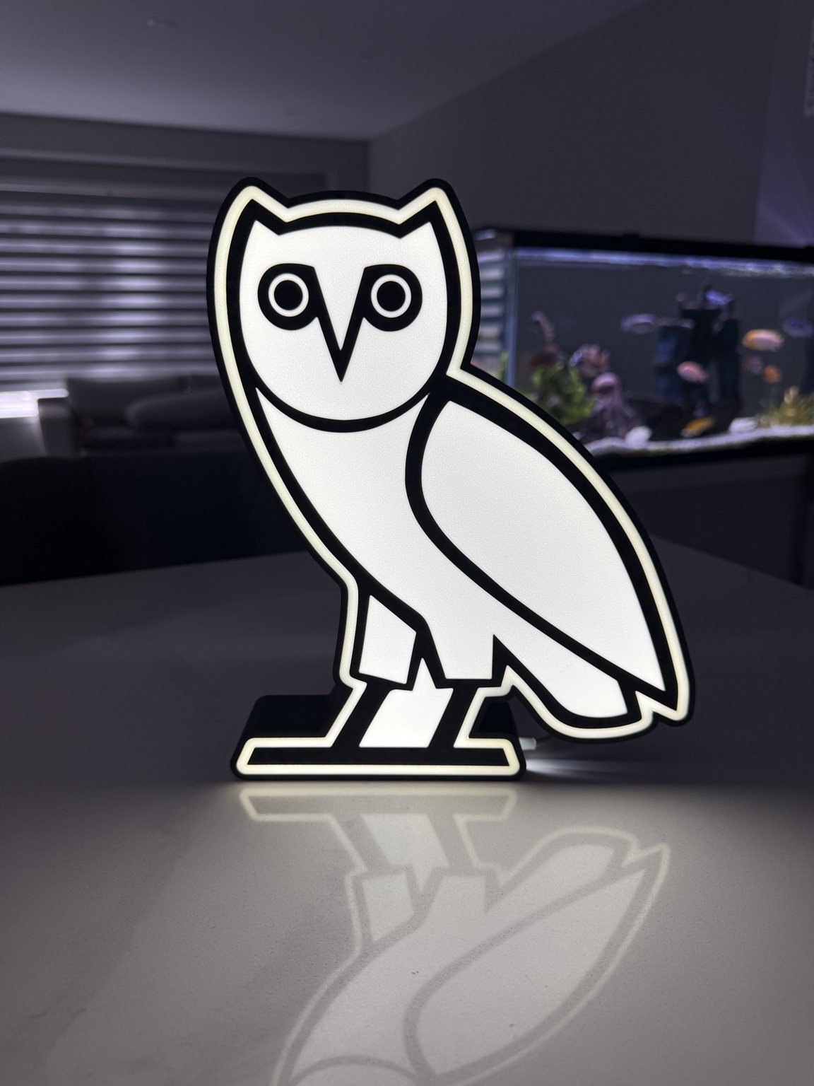 White illuminated owl emblem against a black edge