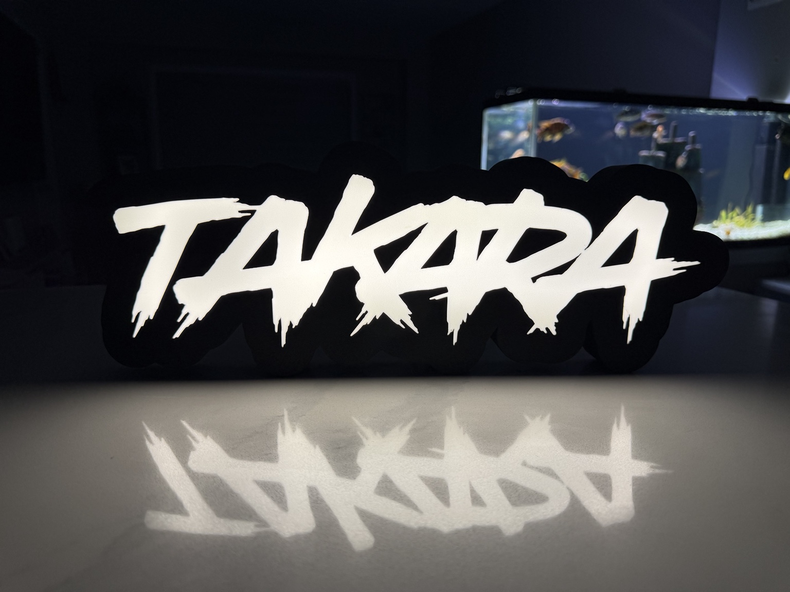 White Takara brush lettering illuminated against a black lightbox